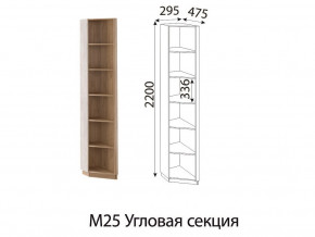 М25 Угловая секция в Нижневартовске - nizhnevartovsk.magazin-mebel74.ru | фото