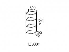 Ш300т/720 Шкаф навесной 300/720 (торцевой) в Нижневартовске - nizhnevartovsk.magazin-mebel74.ru | фото