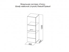 Шкаф навесной (глухой) Левый в Нижневартовске - nizhnevartovsk.magazin-mebel74.ru | фото