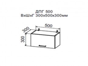 Шкаф верхний ДПГ500 горизонтальный в Нижневартовске - nizhnevartovsk.magazin-mebel74.ru | фото