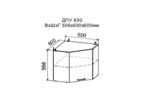 Шкаф верхний ДПУ600 угловой в Нижневартовске - nizhnevartovsk.magazin-mebel74.ru | фото