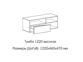 Тумба 1220 (высокая) в Нижневартовске - nizhnevartovsk.magazin-mebel74.ru | фото